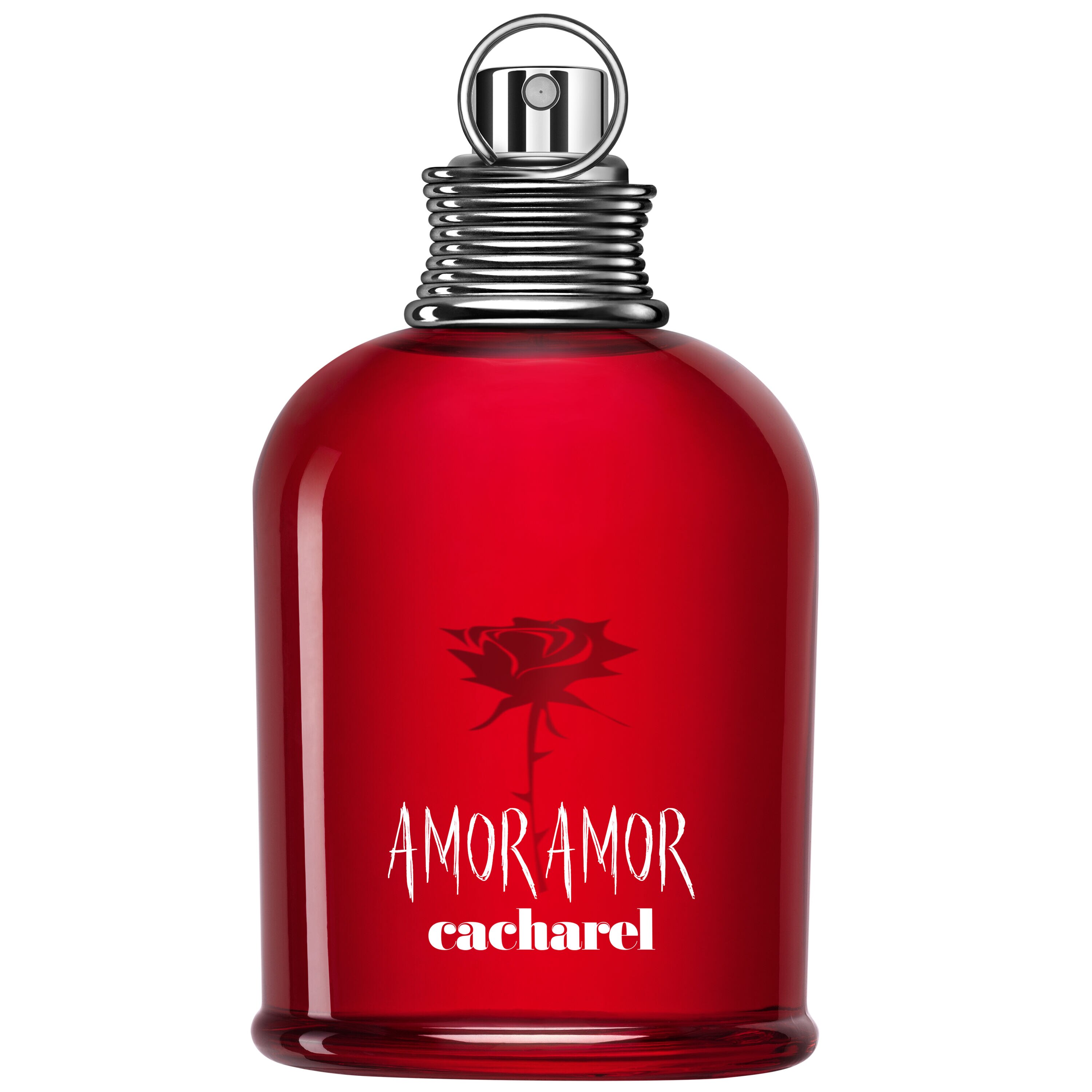Amor Amor