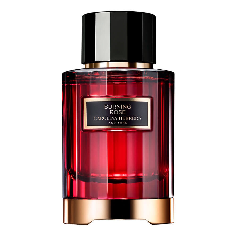 Confidential Burning Rose